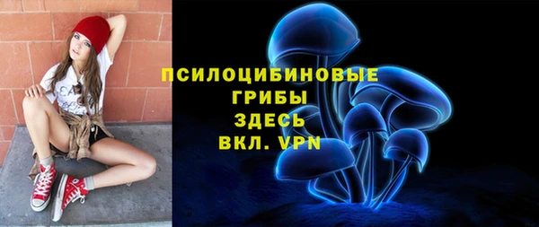 твердый Богданович