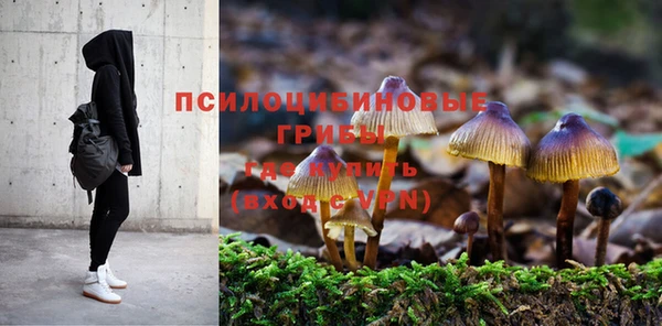 синтетический гашиш Богородск