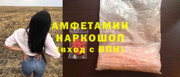 СК Бронницы