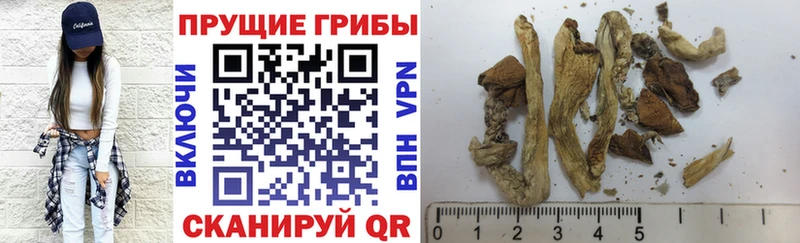 Галлюциногенные грибы Magic Shrooms  Кола 